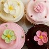 dixiecakes